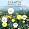 【福东海】胎菊50克/瓶 FDH01011266