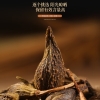 【福东海】连翘50克/袋 FDH01010753