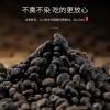 【福东海】补骨脂250g克/瓶 FDH01010640