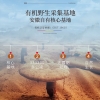 【金芝弘康】破壁灵芝孢子粉1g*100包/盒（配礼袋） FDH05020026