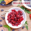 华巍蔓越莓干62g/3袋