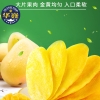 华巍芒果干160g/罐
