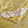 杉杉家纺金枝玉叶蚕丝被 SS-B1051