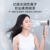美的电吹风 FD205（XS030100000075/XS030100000076）