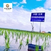 邻家饭香 核心产区五常大米 1kg/袋 LJFX31