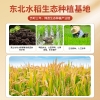 邻家饭香 东北大米 鱼稻大米 25kg/袋 非真空包装 ZCHA257