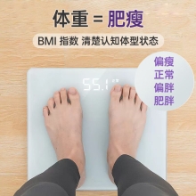 美的体脂称MS-CW4（充电）