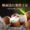 鲜山叔 肇庆芡实500g/1袋