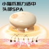 和正全家福套装HZ-Family-1