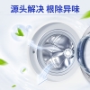 蓝月亮洗衣机清洁剂600g-10001779
