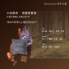 独特艾琳车载香薰  13g