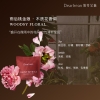 独特艾琳车载香薰  13g