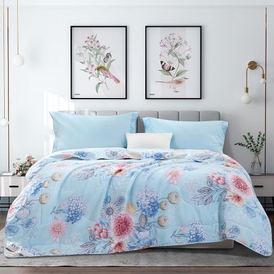 富安娜 七孔抗菌印花夏被-流光若梦 152*210cm(250g)