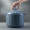 西屋Westinghouse-陶瓷锅WTTG60A