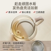 小熊养生壶YSH-E15L7