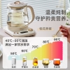 小熊养生壶YSH-E15L7