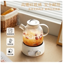 艾青春分体养生壶AI-YSH819
