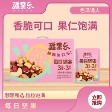 疆果乐疆果果每日坚果600g
