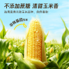 北纬47度低GI水果玉米汁245ml*8