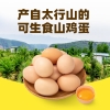 小鸡海蒂 可生食&middot;山养鲜鸡蛋30枚
