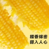 十月稻田鲜食黄糯玉米2.2kg