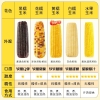 十月稻田鲜食黄糯玉米2.2kg
