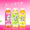 来点茶趣花香无糖茶混合装300ml*12礼盒装