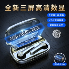 塞尔兰斯（Sayrelances）TWS蓝牙耳机(型号：S20)