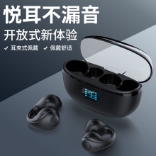 塞尔兰斯（Sayrelances）创新不入耳真无线耳机（型号：G8）