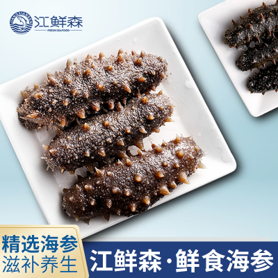 江鲜森国标&middot;鲜食海参698款 500g（8-12头）