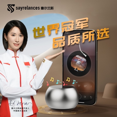 塞尔兰斯小钢炮音箱DZ-017