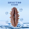 北京同仁堂时光氧净制干海参特级90克 （121-150头）