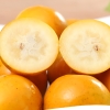 嗨果粒 融安脆蜜金柑优选4斤 上架时间11月1日下架时间2月28日