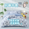 罗曼罗兰全棉四件套 小欢喜-4