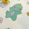罗曼罗兰简约毛毯 小恐龙150*200cm