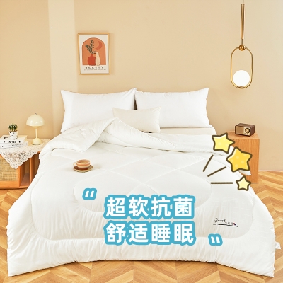 罗曼罗兰雅仕提花抗菌冬被