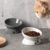 漫沃星系平口陶瓷猫碗MC-601白色/MC-602灰色  /斜口陶瓷猫碗MC-603白色/斜口MC-604灰色