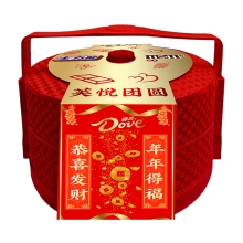 【德芙】 芙悦团圆 双层提篮524g