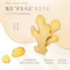 诗朗【控油】洗护组合 茶籽洗发+生姜护发 500g*2 SLTZ1000G004