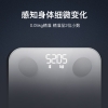 云康宝智能体脂称CS20E电池款