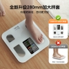 云康宝智能体脂称CS20E彩屏